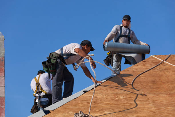 Best Roof Repair Services  in Hibbing, MN