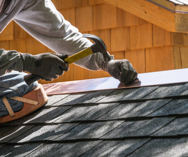 Best Roof Gutter Cleaning  in Hibbing, MN